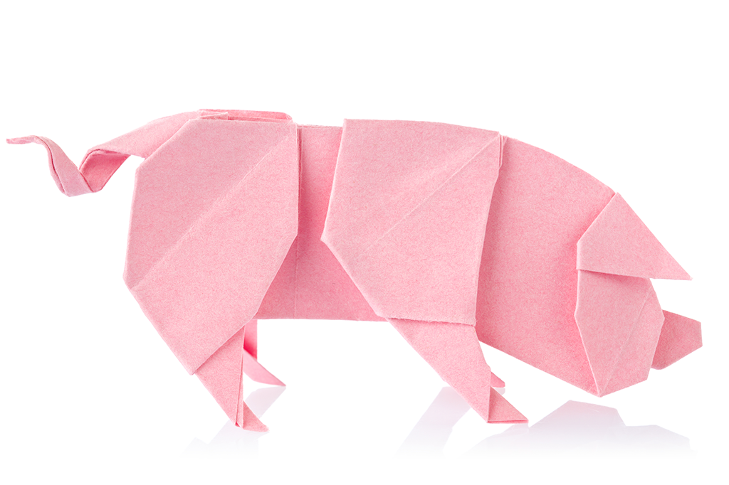 Cientistas reviveram células mortas do cérebro de porcos. Mas e daí?