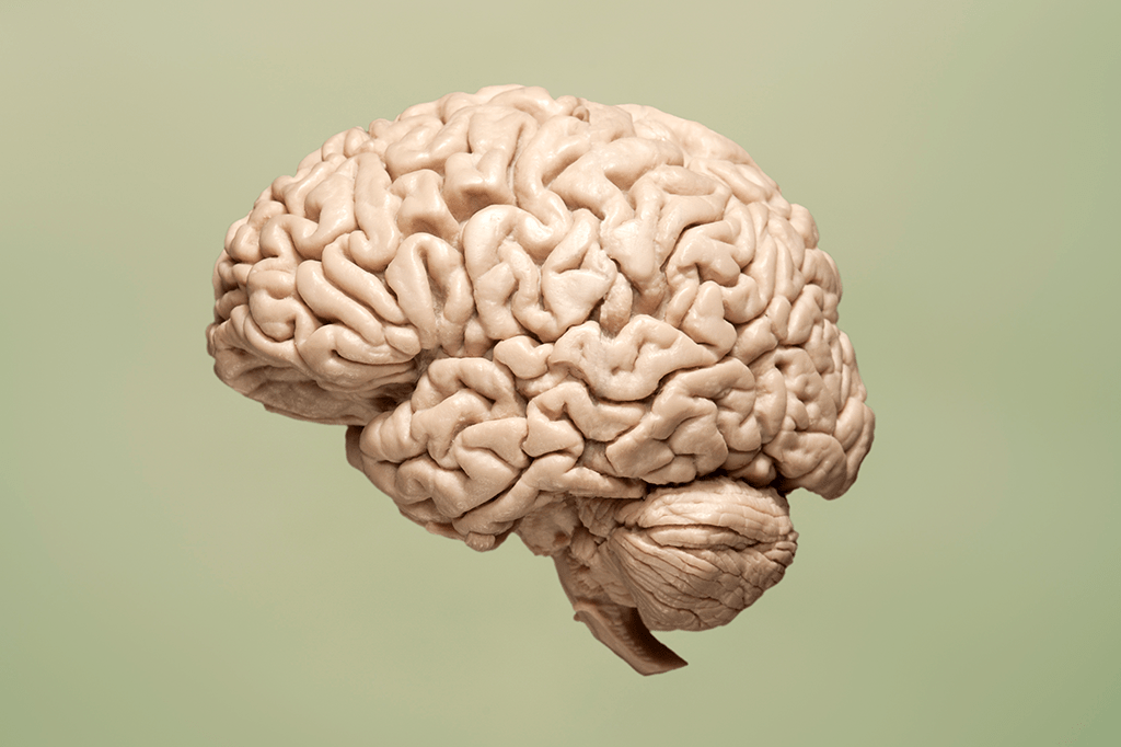 Novo implante converte sinais do cérebro em fala