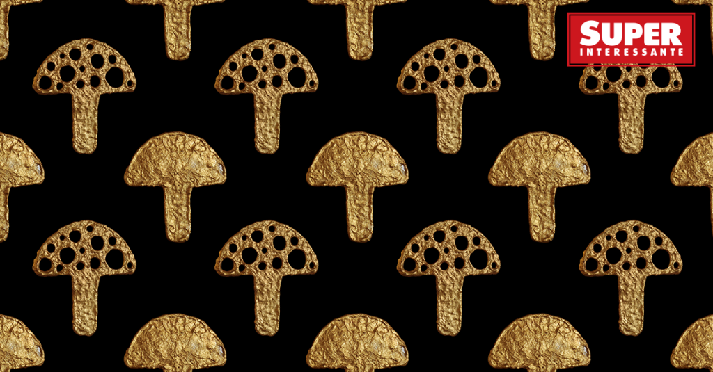 Fungo “minerador” aglutina ouro do ambiente