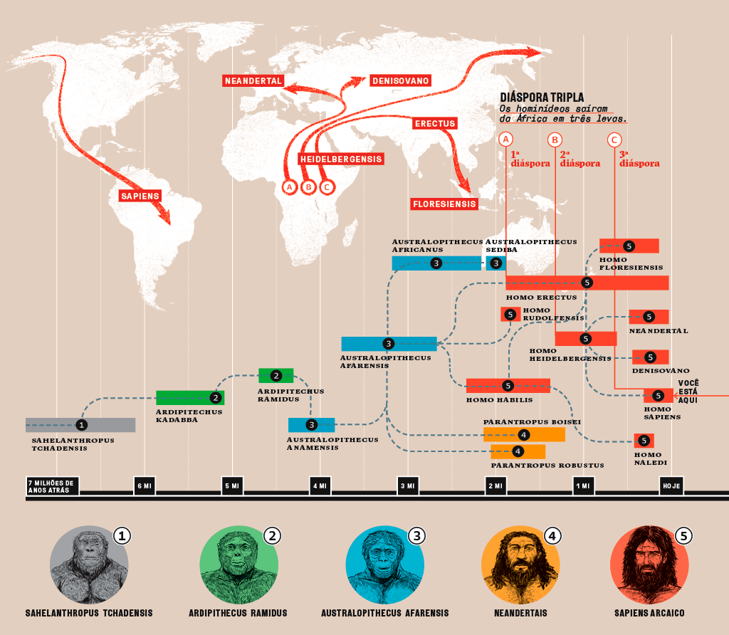 África – berço da humanidade. Linha cronológica.