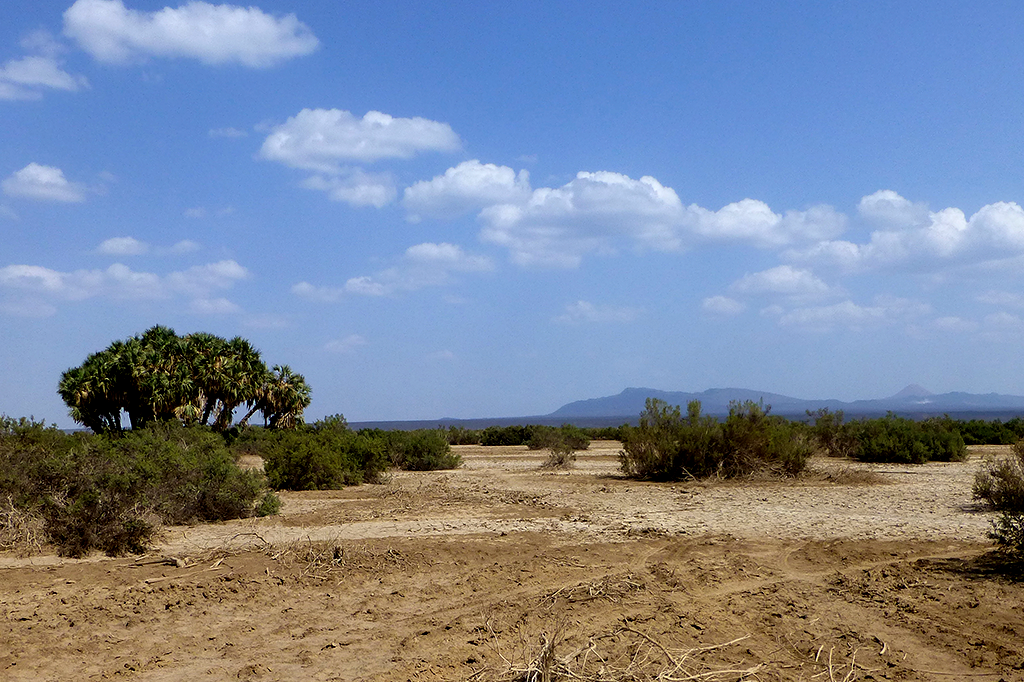 Hominídeos fabricavam ferramentas de pedra há 2.6 milhões de anos
