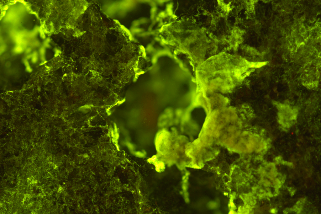 Astronautas testarão primeiros experimentos de mineração espacial