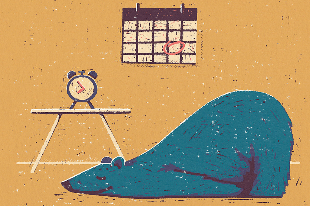 Animais têm rotina?