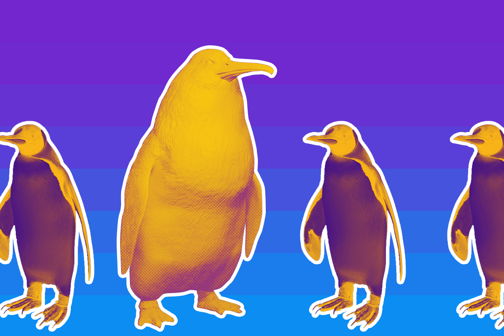 Fóssil de pinguim gigante é descoberto na Nova Zelândia