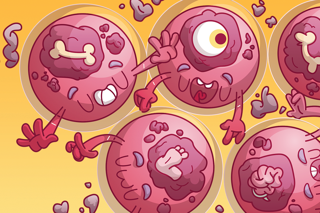 Como as células de um embrião sabem quais órgãos formar?