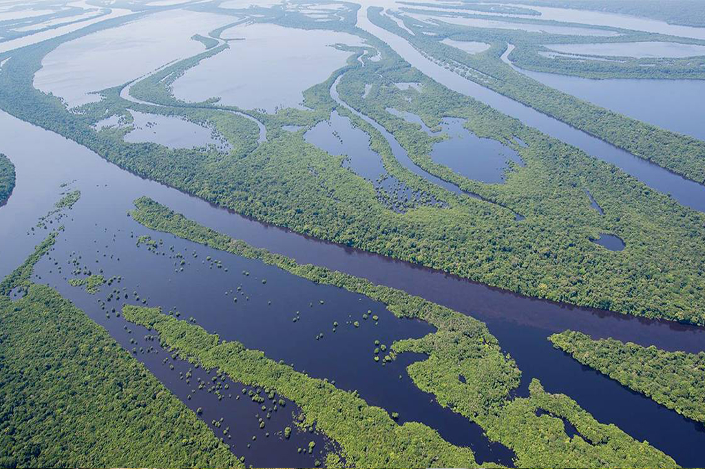 O que é o Fundo Amazônia?