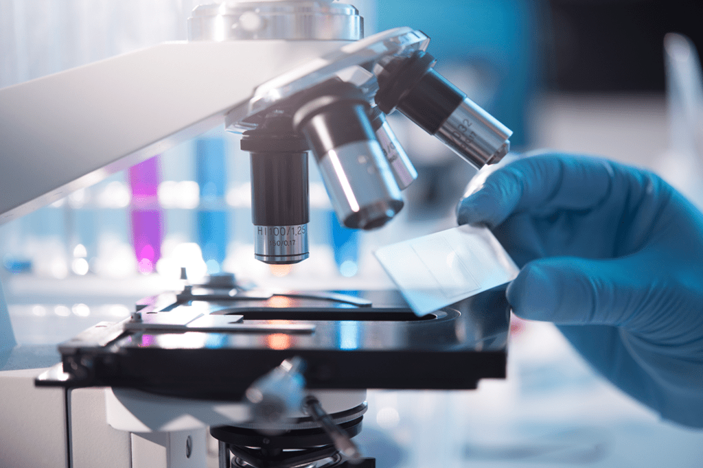 Doença semelhante à leishmaniose é descoberta em Sergipe