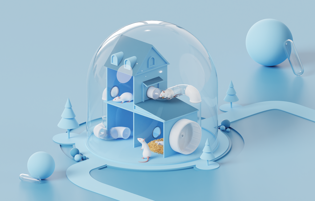 A vida (e a morte) de um rato de laboratório