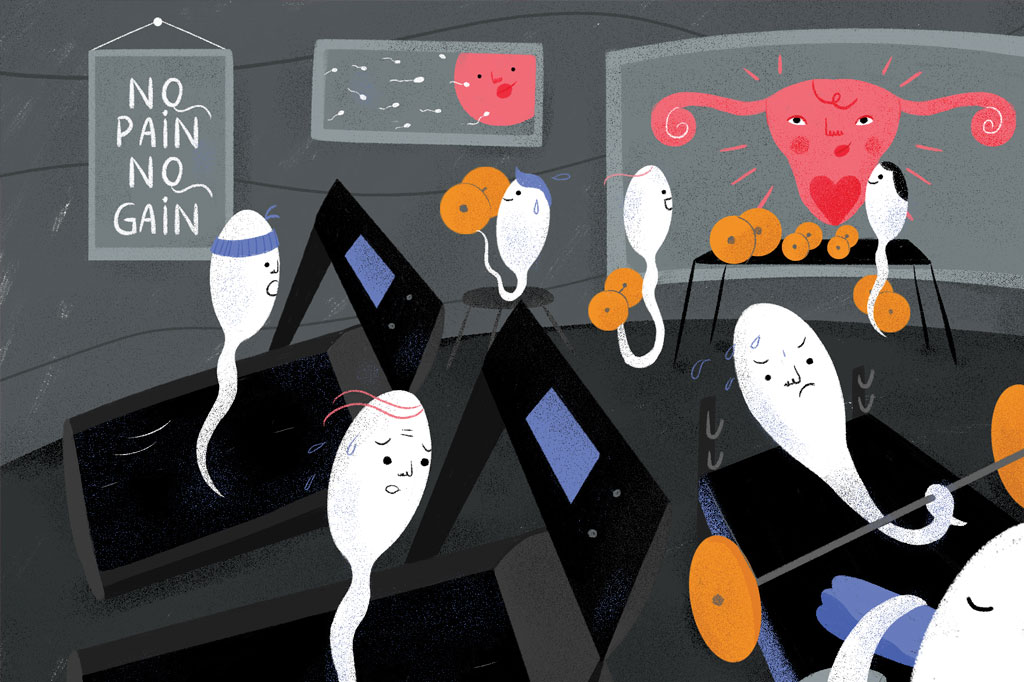 A ejaculação frequente reduz o risco de câncer de próstata?