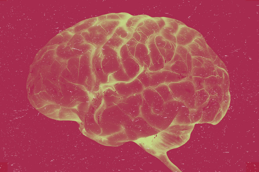 Entenda de uma vez: como o cérebro funciona