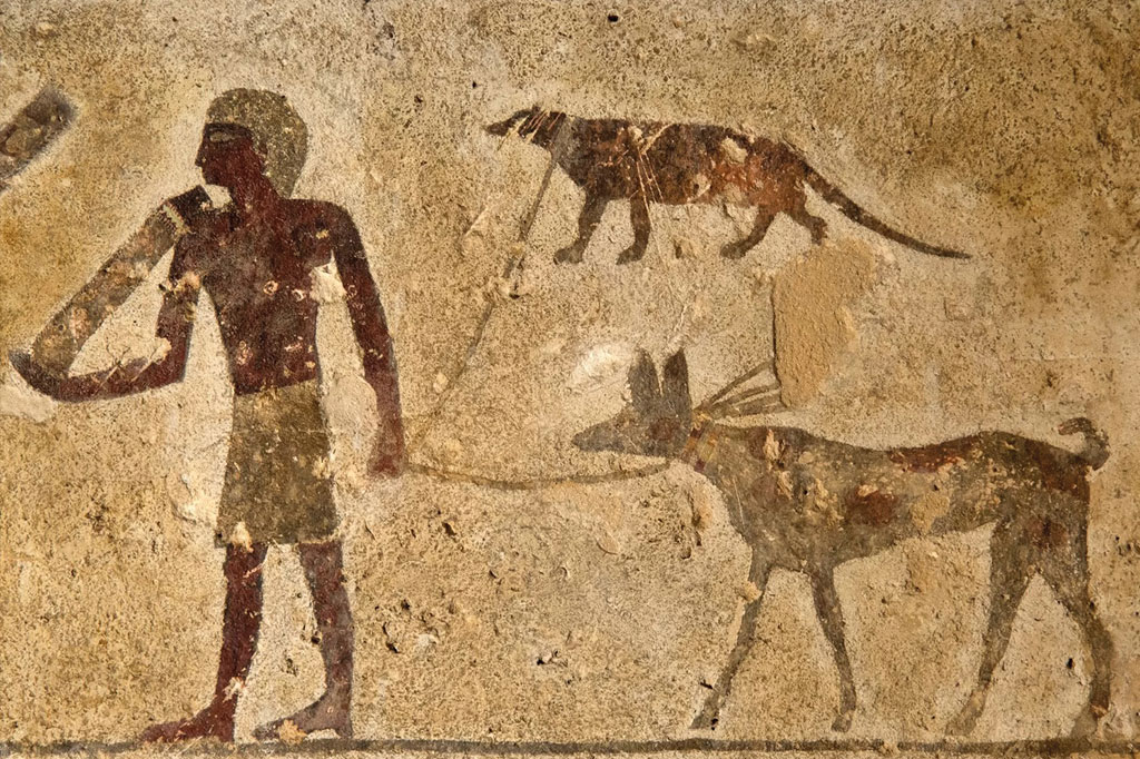 SI_Mundo_Cao_amigos_5