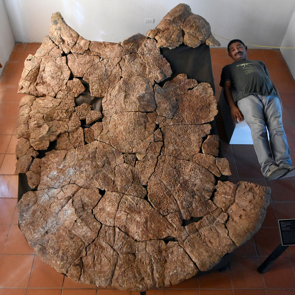 SI_Tartaruga_gigante_1 SI_Tartaruga_gigante_1