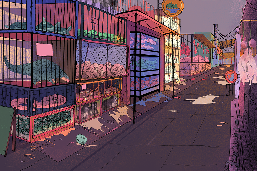 Wet markets: o berço do coronavírus