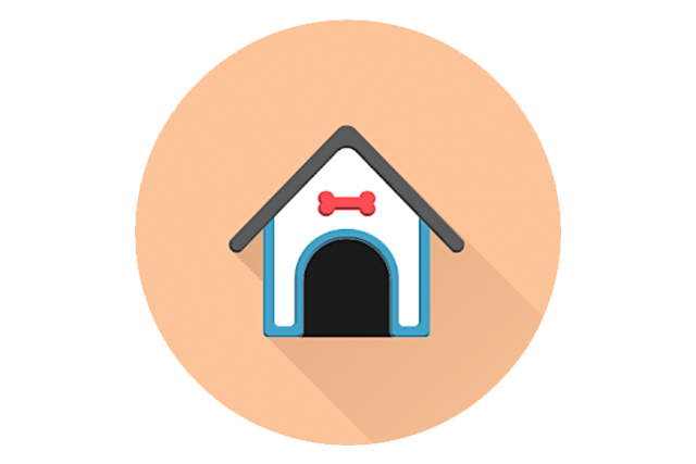 SI_MundoCao_Gadgets_8