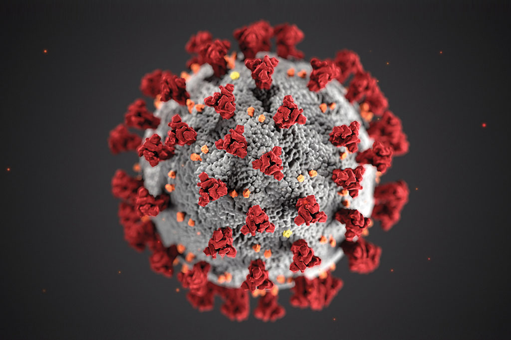 SI_416_Novas_cara_corona_virus_1
