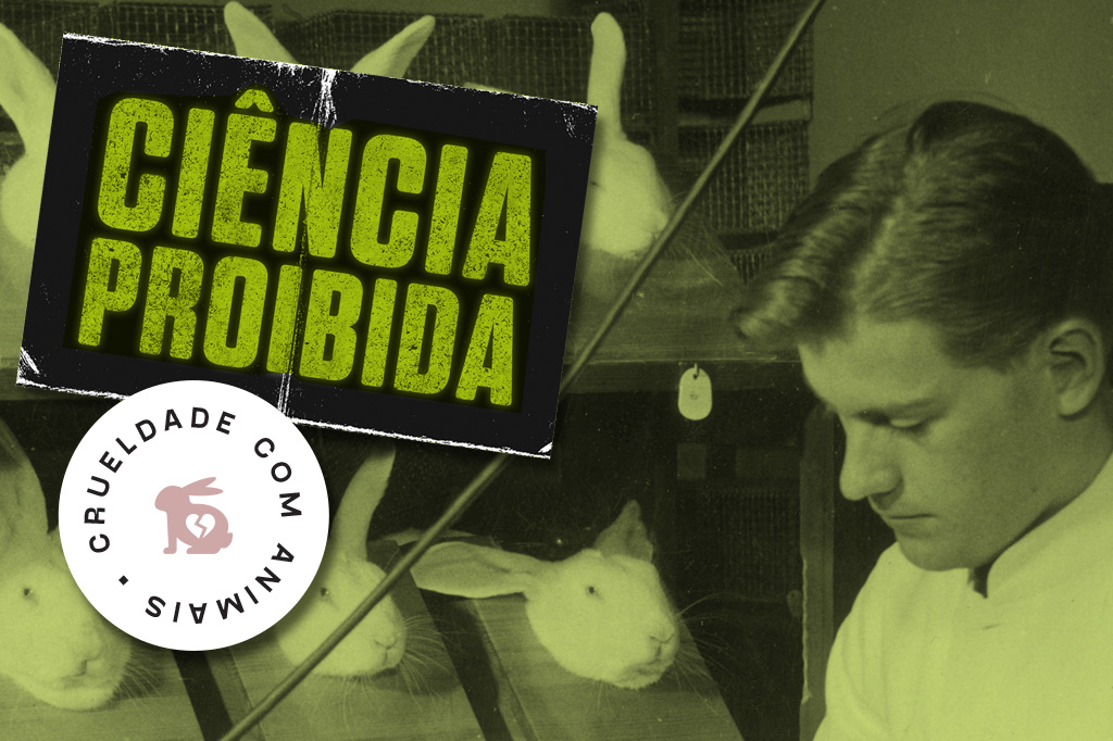 A crueldade dos testes de cosméticos