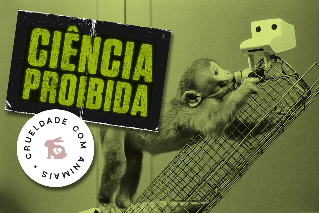 Um ano no “poço do desespero”