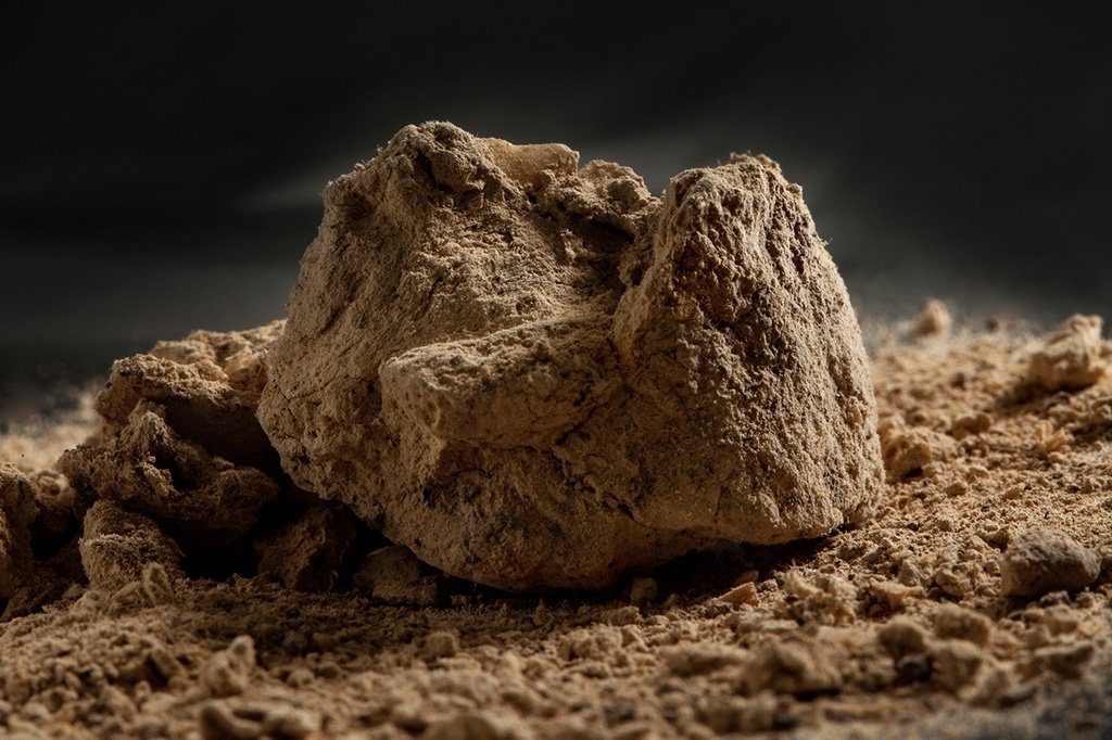 Cocô fóssil de 14 mil anos é um dos restos humanos mais antigos das Américas
