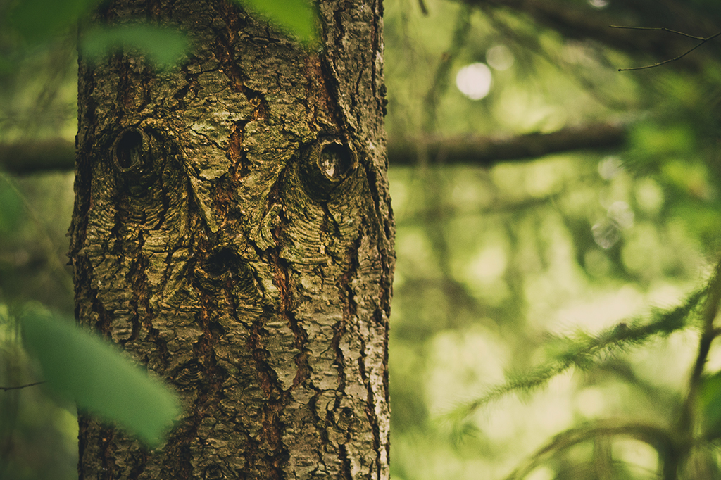 Pareidolia: por que vemos “rostos” em objetos inanimados? Este estudo explica