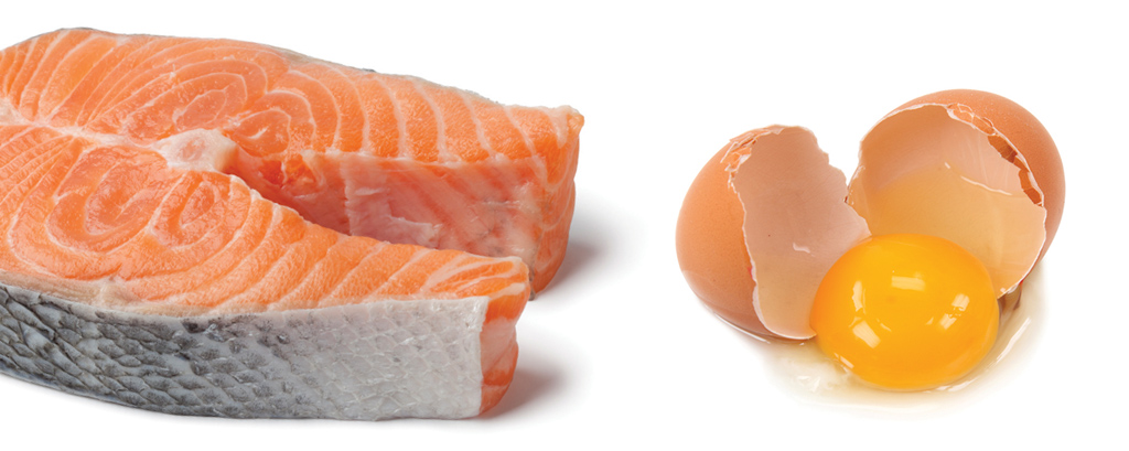 SI_Cancer_Prevencao_1 <strong>Peixe, carne orgânica, ovos orgânicos enriquecidos de ômega-3, laticínios: as gorduras boas podem até potencializar os efeitos do tratamento.</strong>