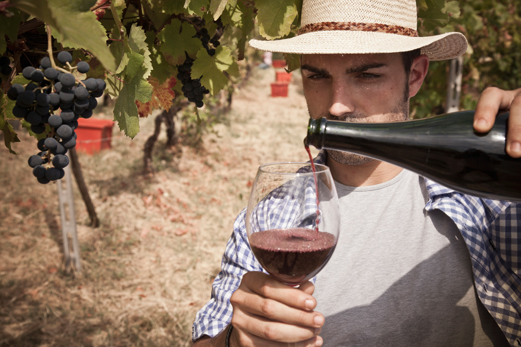 SI_Vinho_Estilo_4 <strong>A rejeição aos vinhos amadeirados, que às vezes mascaram defeitos, é um traço dos entusiastas da bebida “sem maquiagem”.</strong>