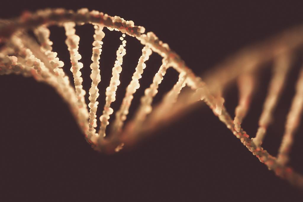 Quando humanos chegaram nas Américas? Estudo desvenda as origens genéticas dos indígenas