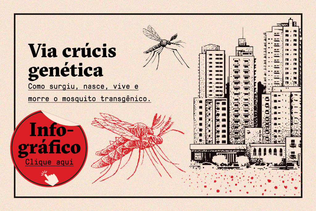 Info_mosquitos2 Info_mosquitos2