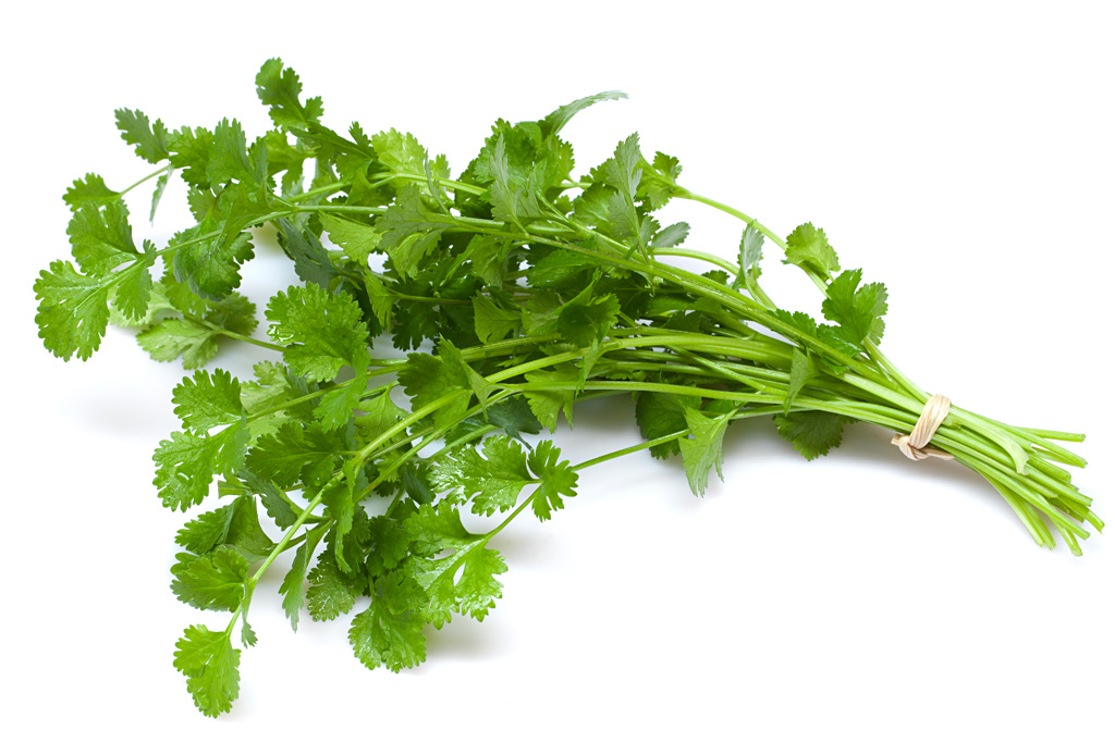 Comidas como coentro têm gostos diferentes para cada pessoa?