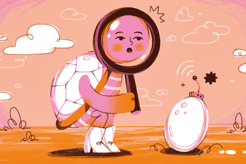 3 notícias sobre… tartarugas