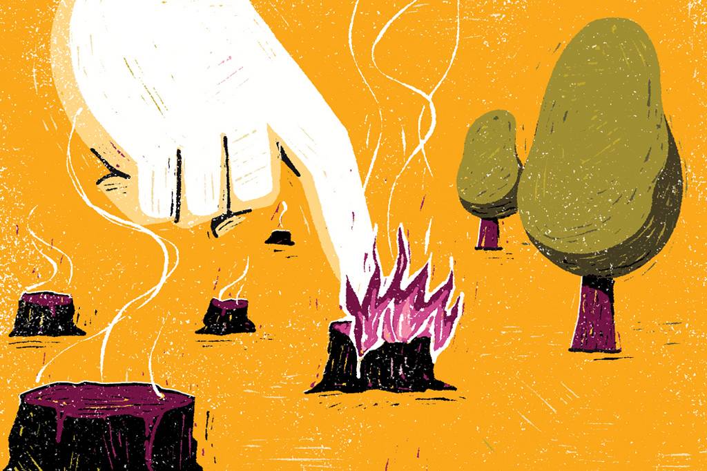 Queimadas humanas destroem mais que as naturais