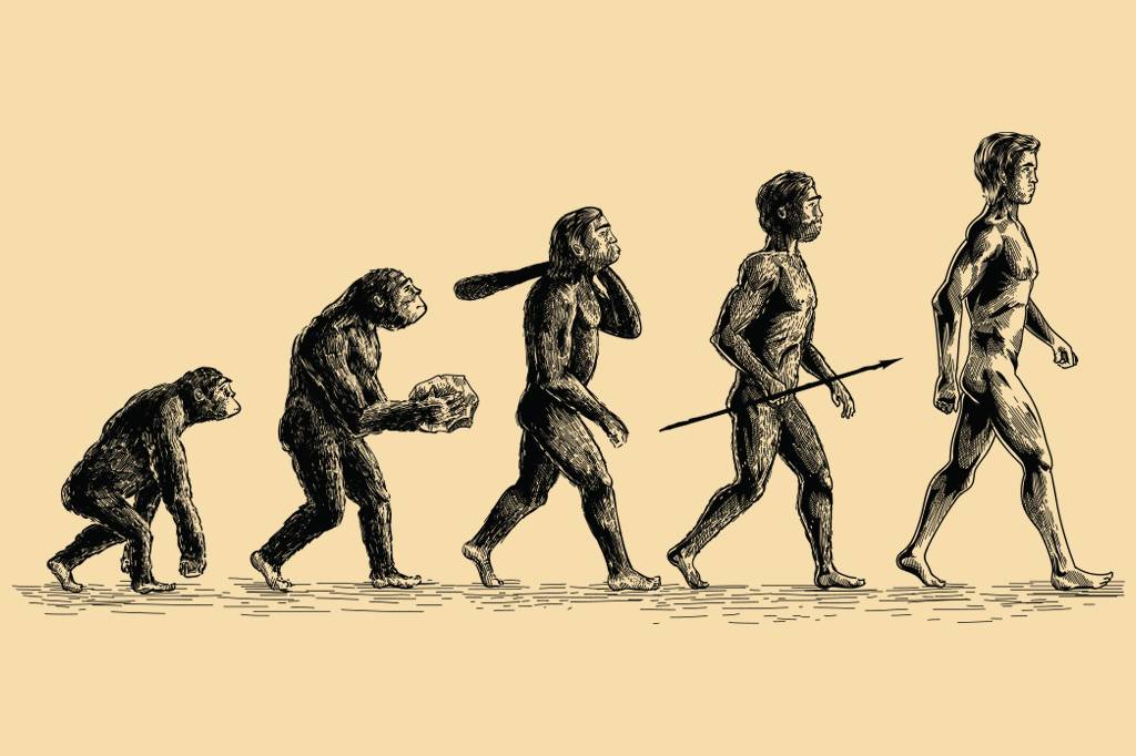 Cientistas podem ter encontrado vestígios de uma nova espécie de hominídeo