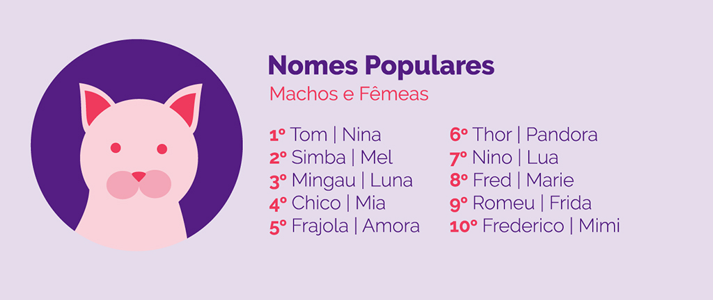 Pesquisa revela os principais nomes de cães e gatos do Brasil em 2020 Ilustração de um gato ao lado dos 20 nomes mais populares no Brasil.