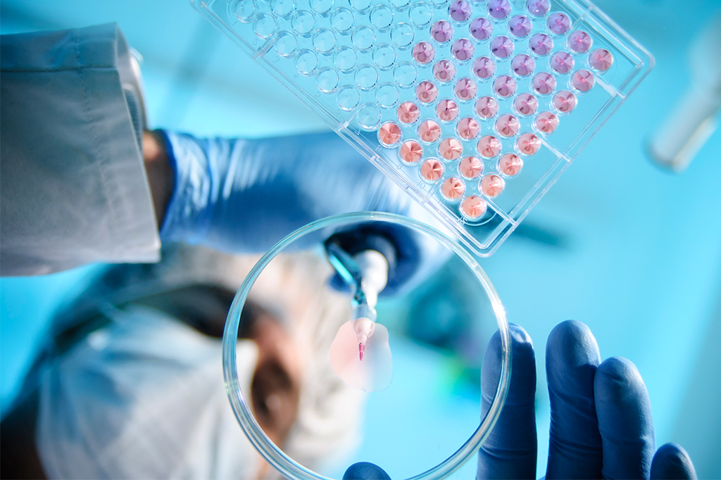 CNPq só conseguirá pagar 13% das bolsas aprovadas para cientistas em 2021