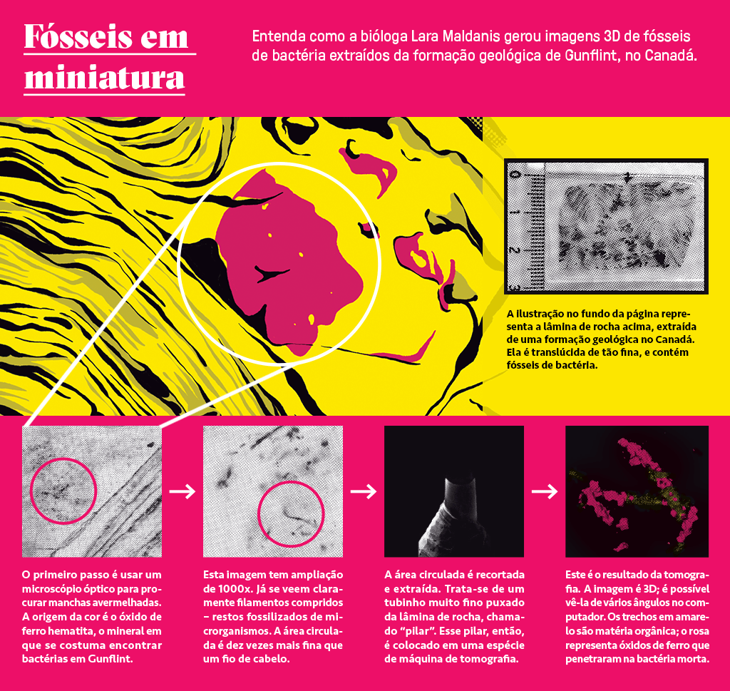 A imagem mostra, na parte inferior, os quatro passos necessários para a geração de imagens 3D de fósseis de bactéria. Do lado direito da imagem há a foto de uma lâmina de rocha e, ao fundo, a ilustração que representa essa lâmina.