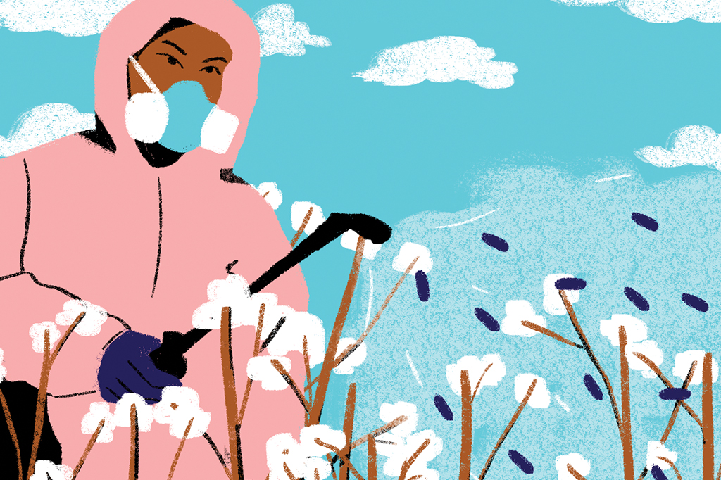 Bioinseticida usa bactérias para combater praga agrícola