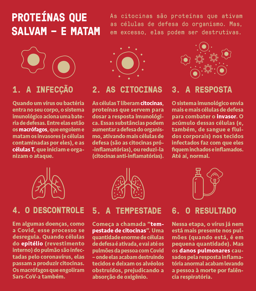 Infográfico mostrando como as citocinas agem contra o vírus e como podem ser destrutivas em excesso.