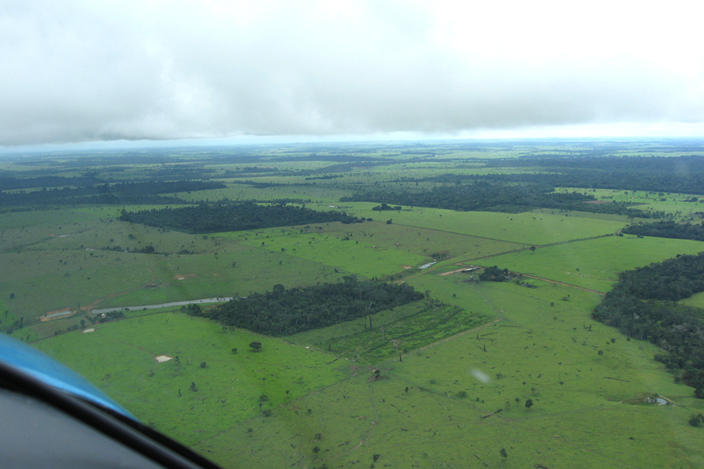 desmatamento_amazonia_03 Vista aérea da Amazônia.