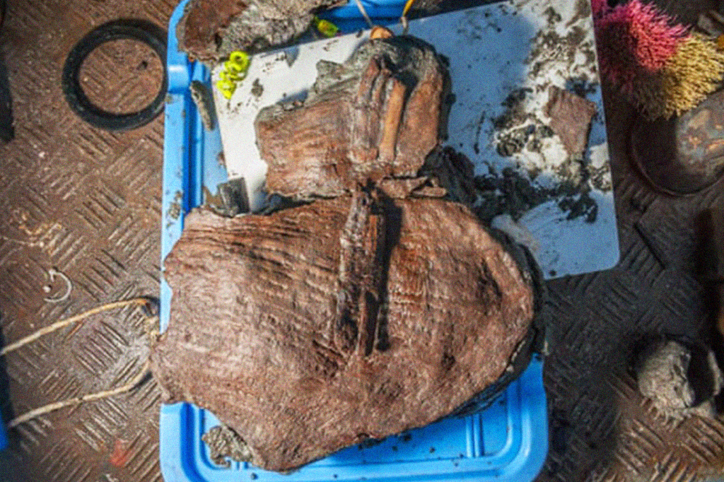 Foto dos fragmentos da cesta encontrados na cidade submersa de Thonis-Heracleion.