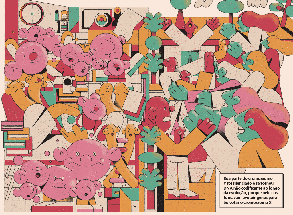 Ilustração de genes saltadores se multiplicando de um lado e, do outro, mitocôndrias brigando com cromossomos Y.