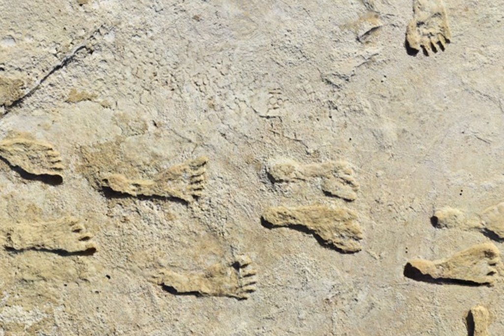 Pegadas humanas América do Norte Pegadas humanas fossilizadas.
