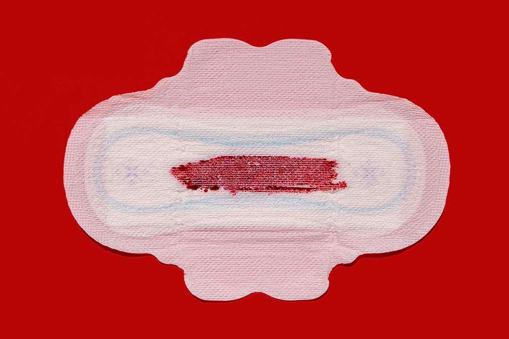 Por que nós menstruamos – mas a maioria dos mamíferos, não?