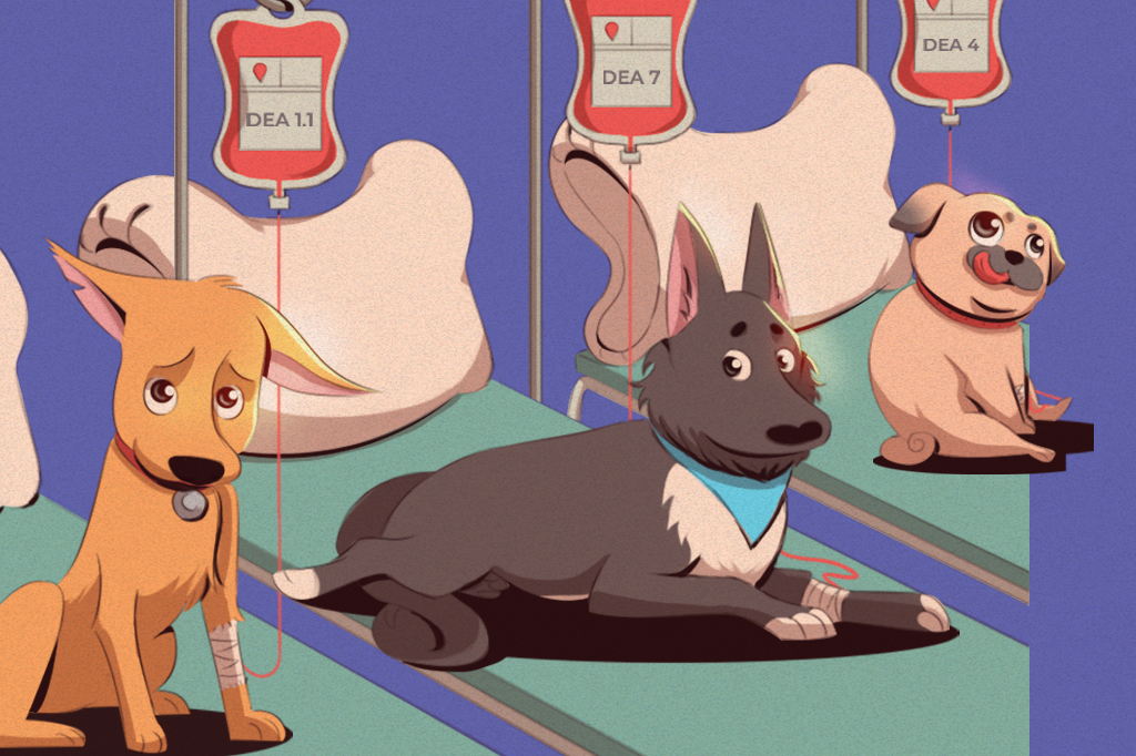 Ilustração de três cachorrinhos doando sangue.