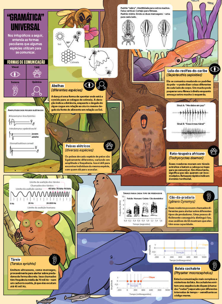 Infográfico com ilustrações de 7 animais: abelhas, lula-de-recifes-do-caribe, peixe elétrico, rato-toupeira africano, társio e baleia cachalote. Cada animal está disposto num quadrinho com um cenário do seu habitat, uma legenda explicando sobre o tipo de comunicação, um ícone mostrando se a comunicação é visual, tátil, sonora ou química e um gráfico explicando como é feita essa comunicação.