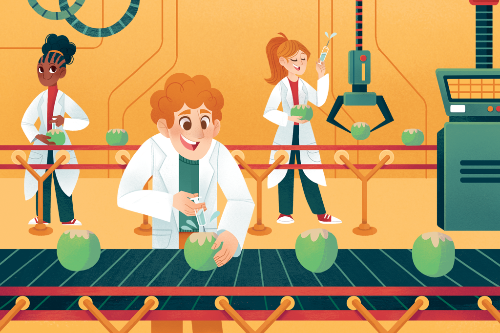 Como a água vai parar dentro do coco?