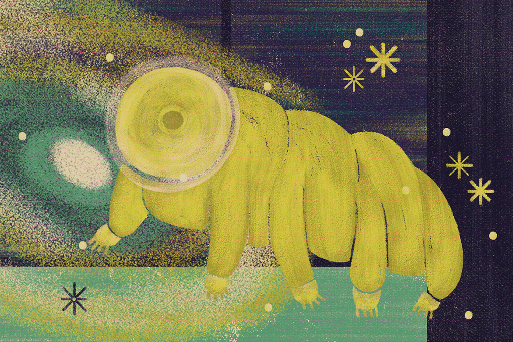 Projeto pretende enviar tardígrados ao espaço