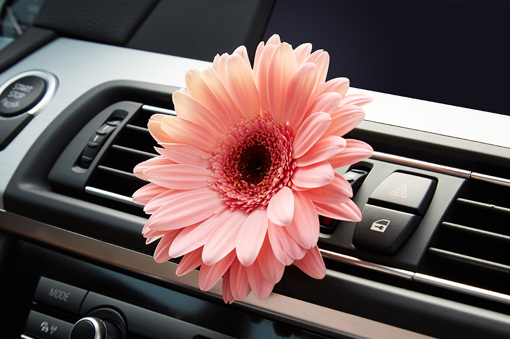 De onde vem o cheiro de carro novo – e por que ele pode dar enjoo