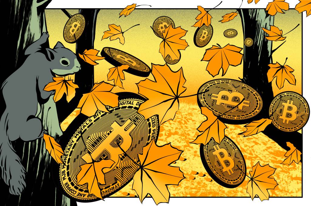 Queda das criptomoedas pode ser boa para o meio ambiente