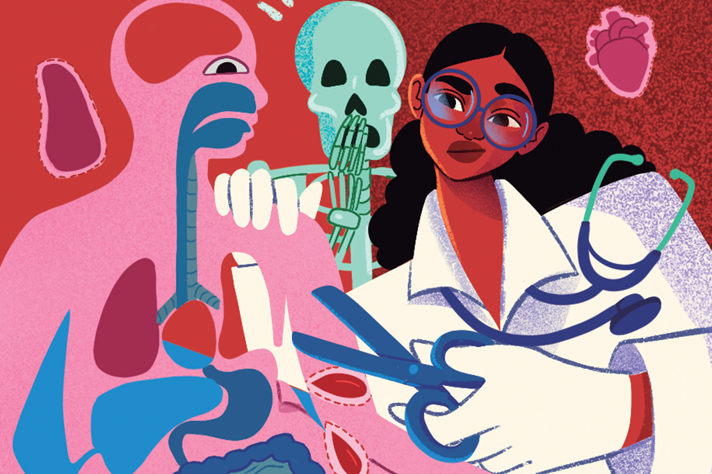 De onde vêm os órgãos usados para o estudo de anatomia?