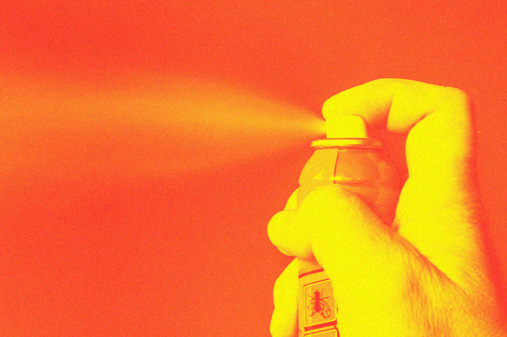 Mosquito da dengue adquire resistência a inseticidas