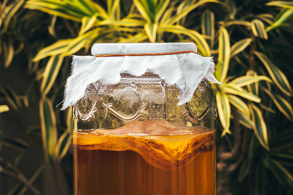 Um pote de vidro com a fermentação da kombucha em processo.